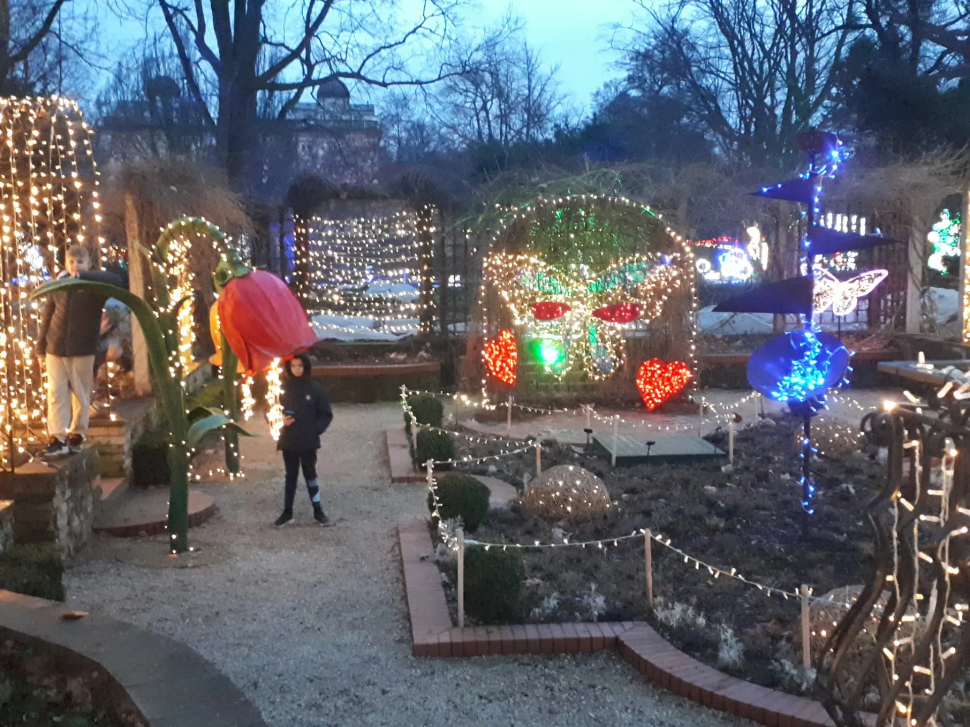Wyjazd uczniów do Ogrodu Botanicznego UW