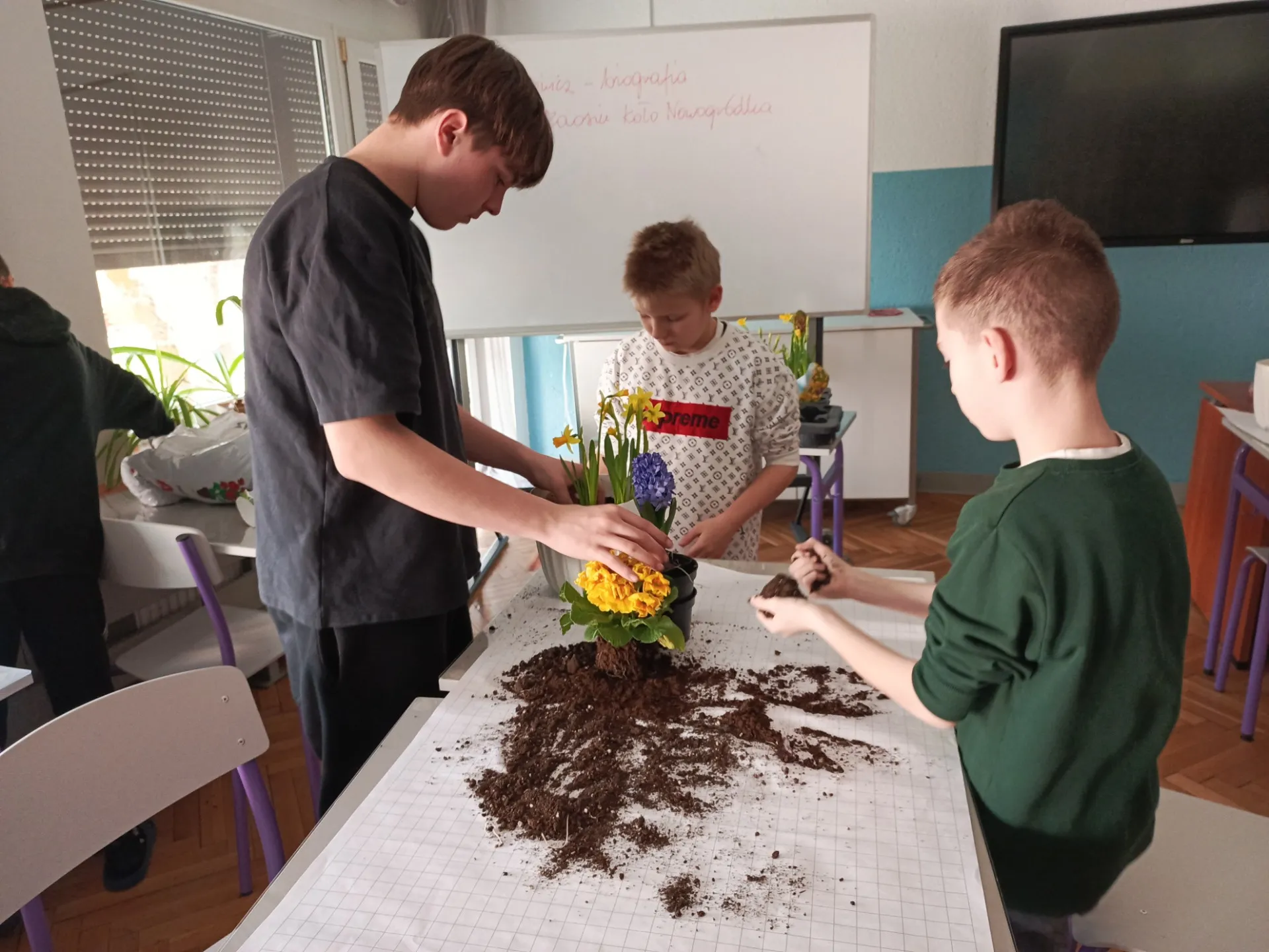 Warsztaty florystyczne Kuby