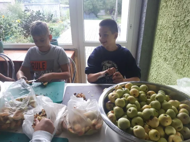 Zajęcia koła ogrodowego
