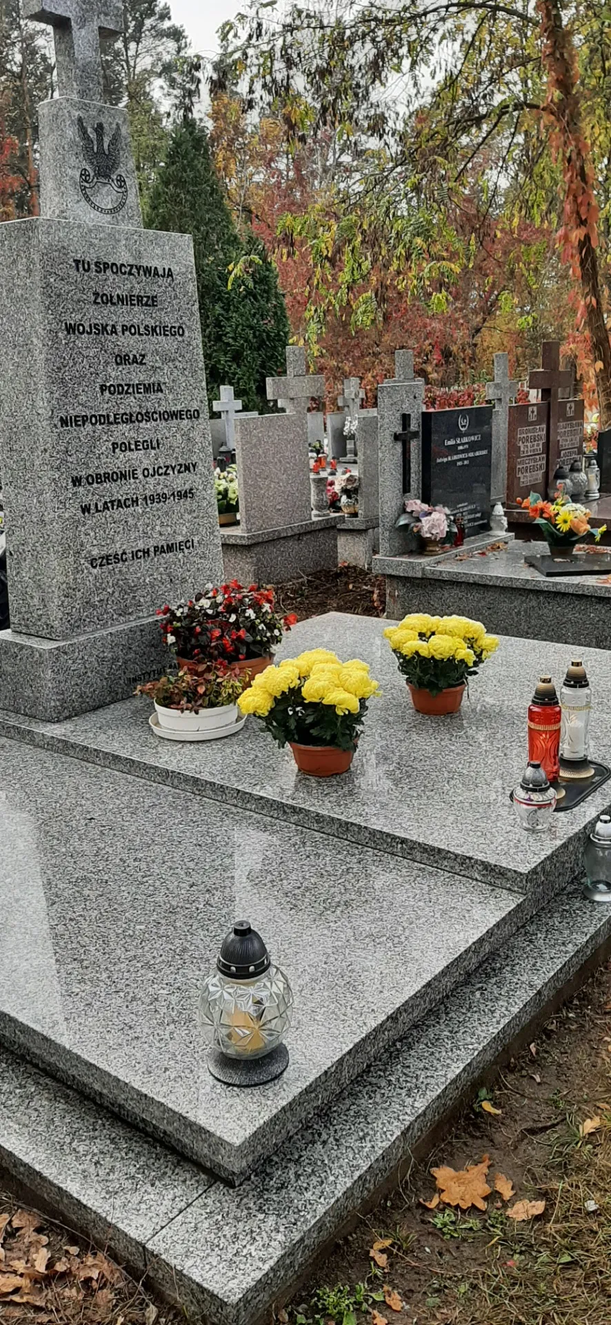 Uczniowie sprzątający cmentarz i groby