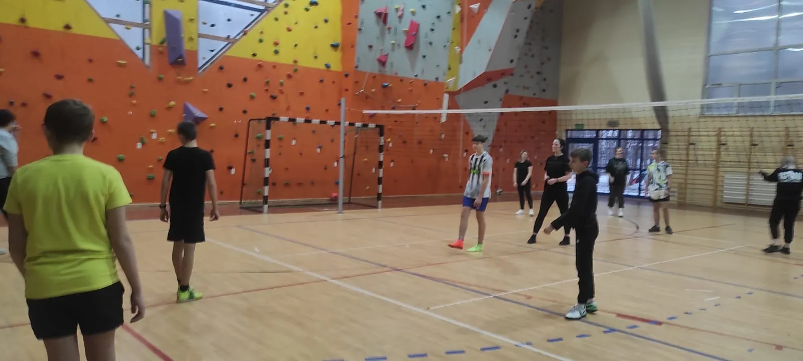 Liga siatkówki halowej