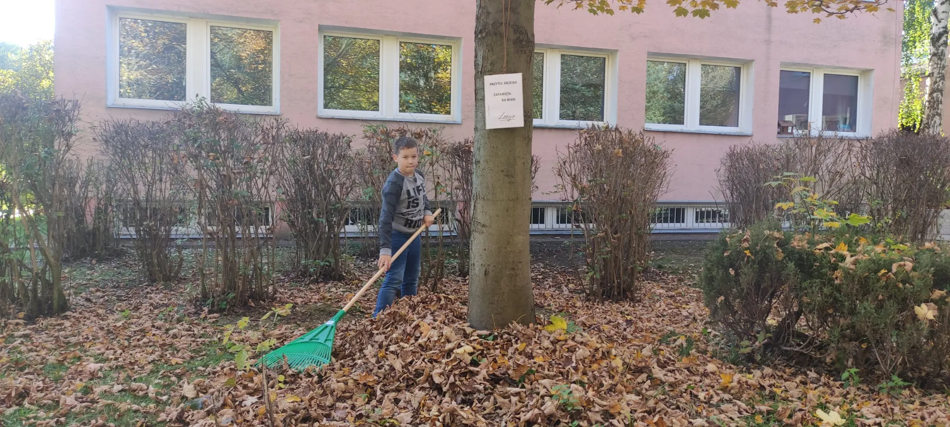 Uczniowie porządkują liście