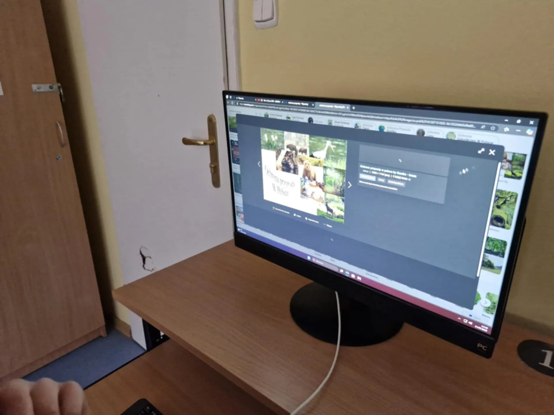 Uczniowie klas 5 i 7 w naszym ośrodku uczestniczyli w zajęciach z form ochrony przyrody