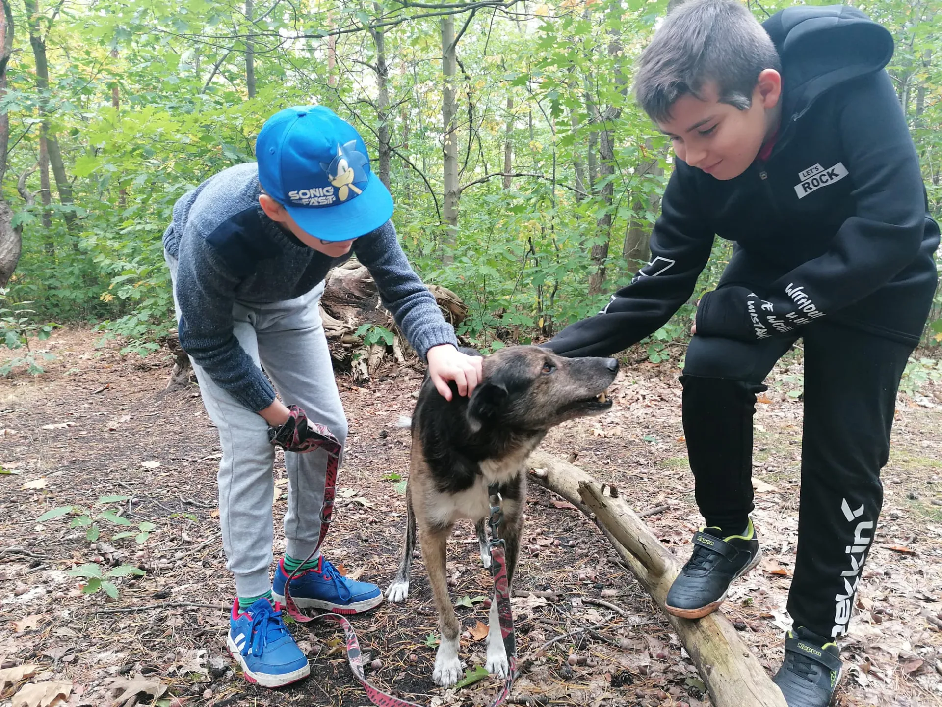 Uczniowie na wolontariacie w schronisku dla psów i kotów w Falenicy.