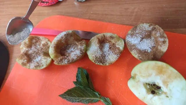 Zajęcia koła ogrodowego