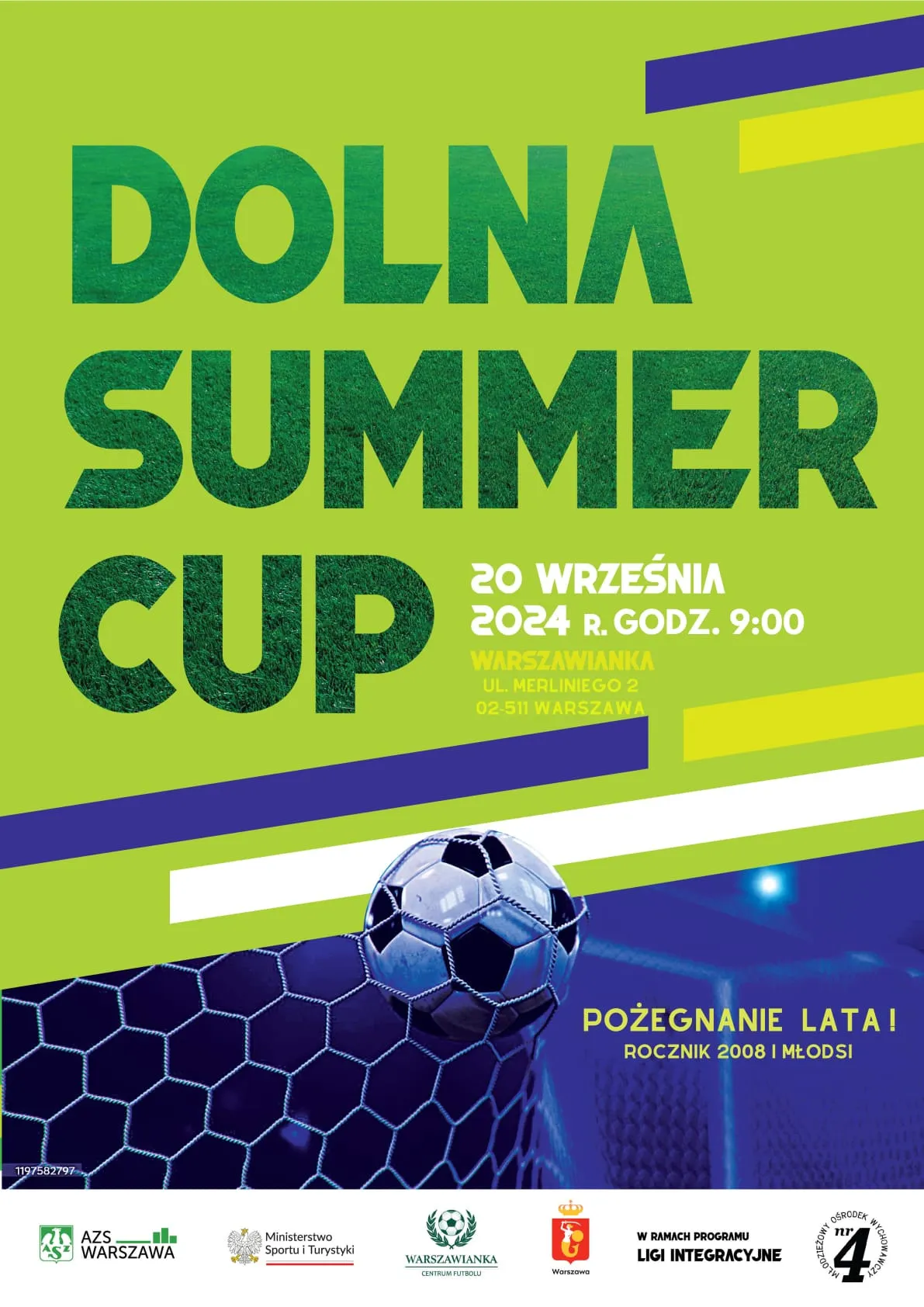 Dolna Summer Cup - plakat
