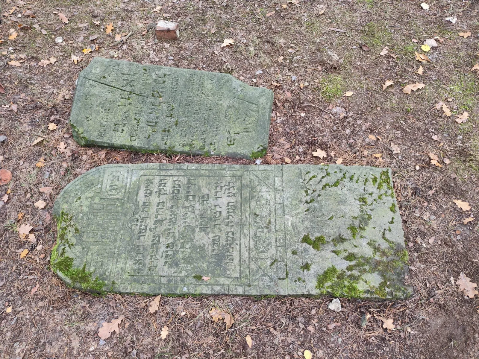 Uczniowie porządkują groby na cmentarzu w Radości przy Izbickiej i na Kirkucie przy Kwitnącej Akacji